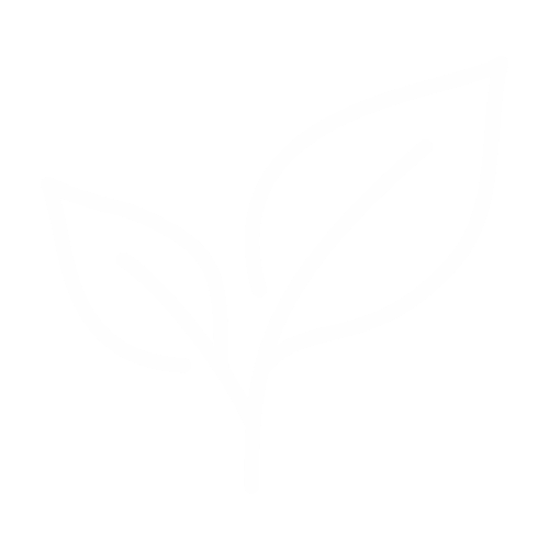 Plantas, agua y oración